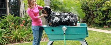 Dog Bath Tub