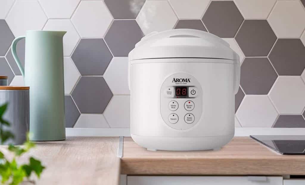 Top 10 Best Food Steamers in 2022 Reviews - Show Guide Me