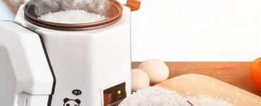 Best Mini Rice Cookers in 2023